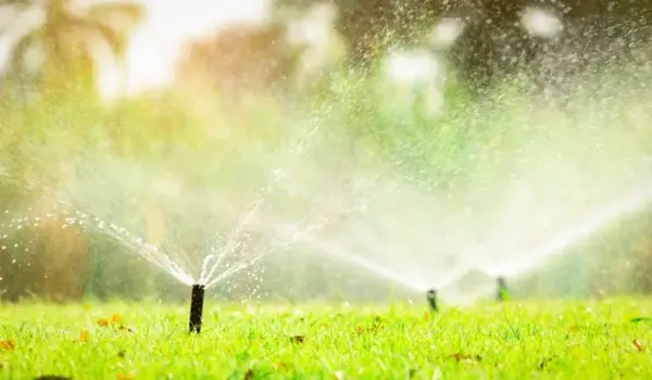 What Are the Best Methods for Efficient Water..
