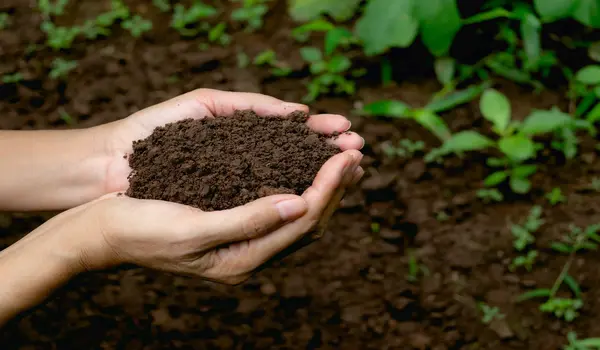What are the key benefits of Azoto-N Bioferti..