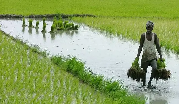 The Role of Government Policies in Promoting ..