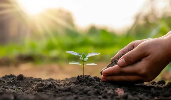 What are PGR and their benefits?