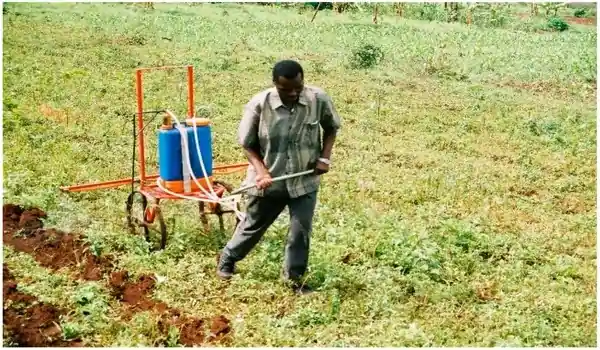 How do Bio pesticides work?