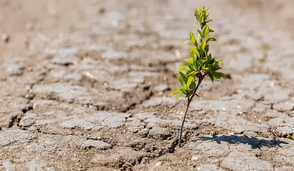 The Impact of Climate Change on Global Agricu..