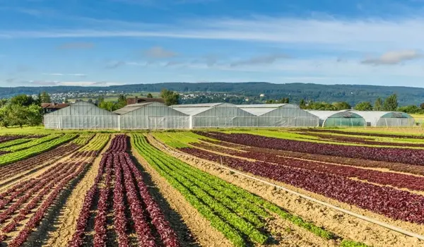 Benefits of Crop Diversification in Farming.