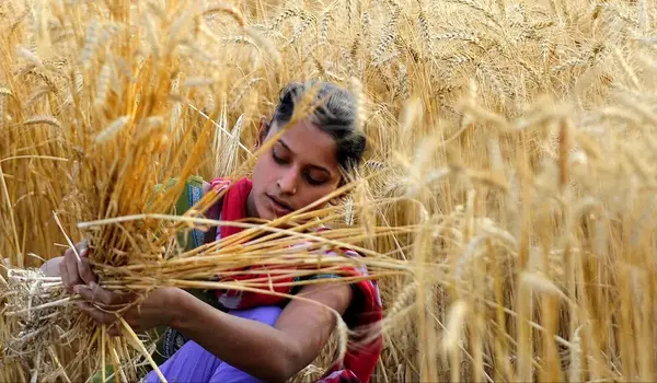 How can sustainable farming practices improve..