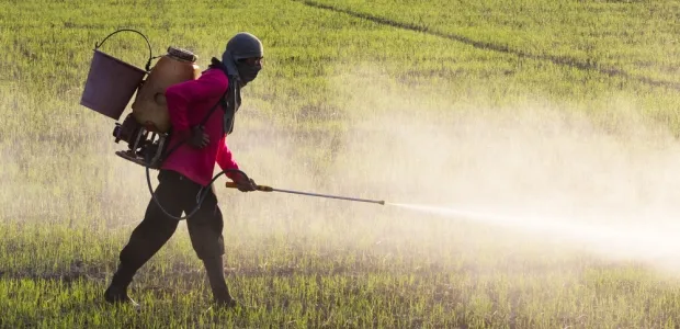 Understanding the Risks of Over-Fertilization..