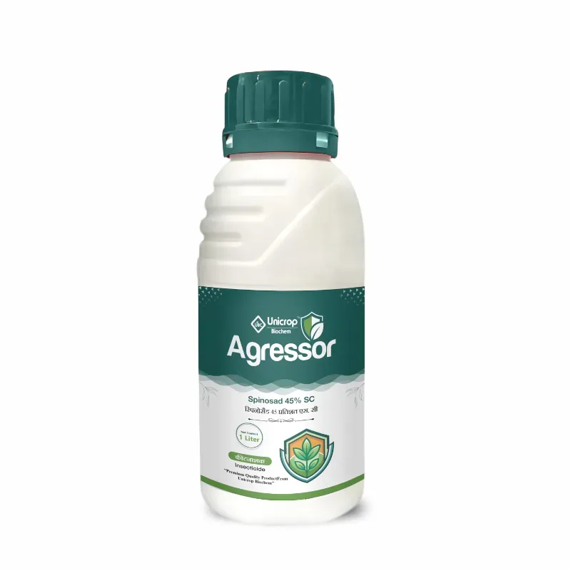 Agressor