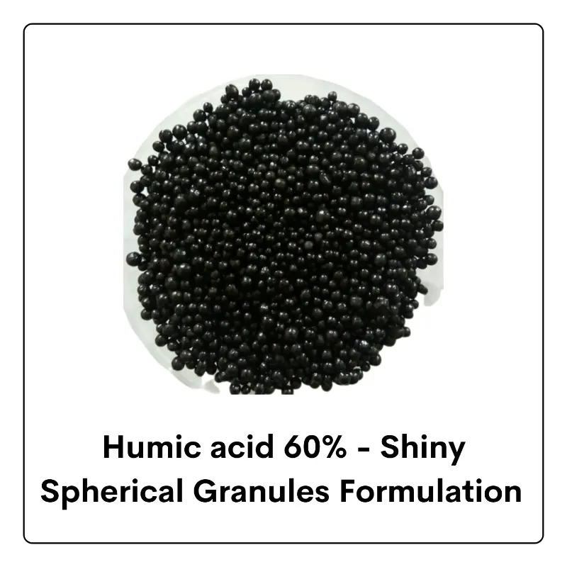 Humic Acid 60%