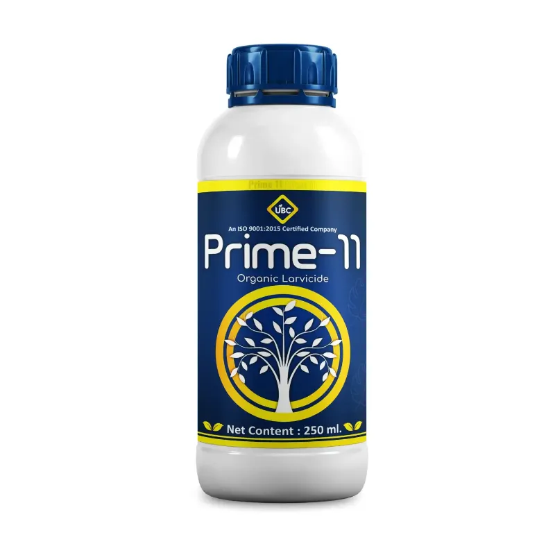 Prime 11