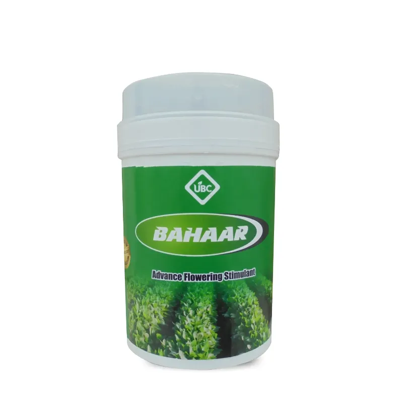 Bahaar