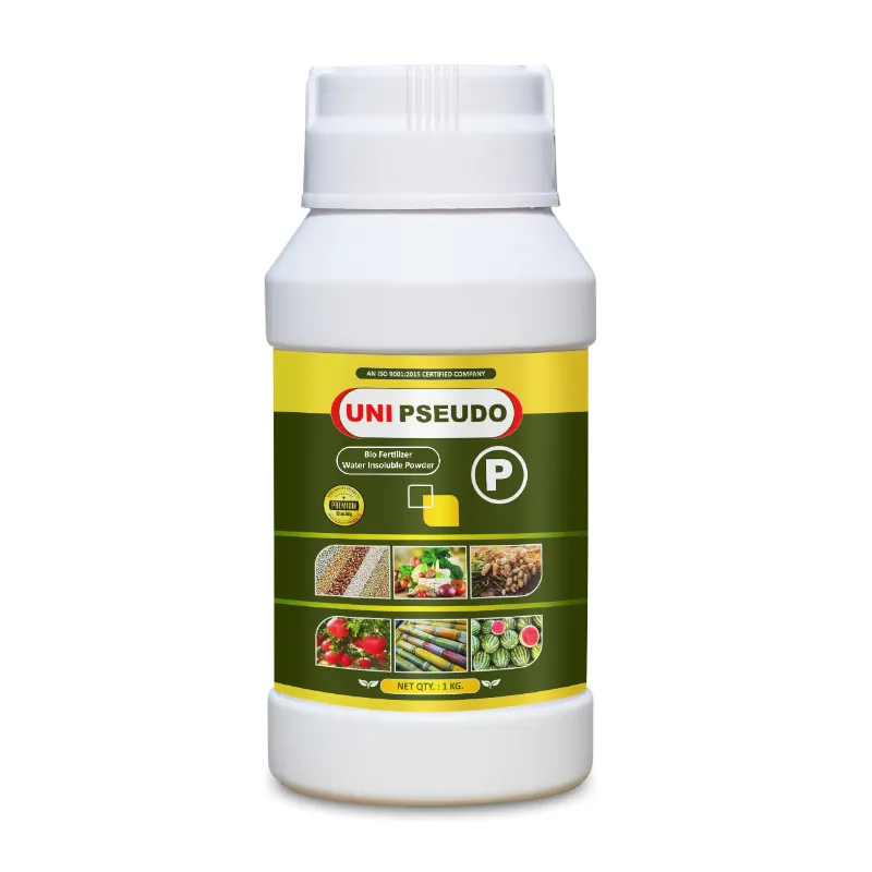 UNI PSEUDO WSP