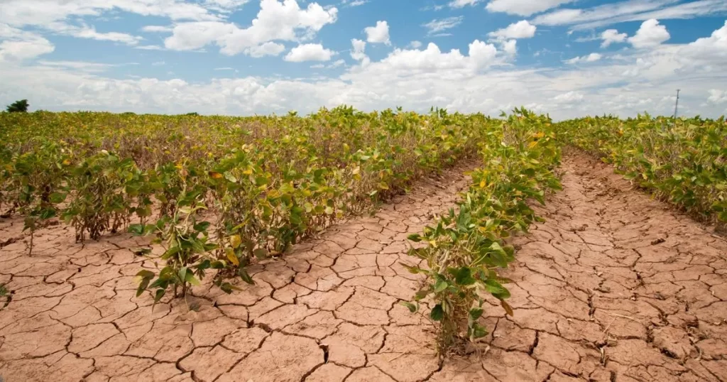 Change and Extreme Weather Events on Agricultural Production